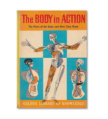 Golden Book of Knowledge_Body in Action